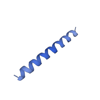 21818_6wl9_KA_v1-1
Cryo-EM of Form 2 like peptide filament, Form2a