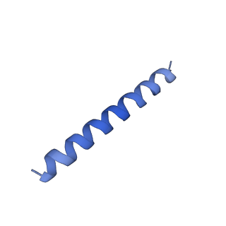 21818_6wl9_KA_v1-2
Cryo-EM of Form 2 like peptide filament, Form2a