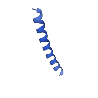 21818_6wl9_K_v1-2
Cryo-EM of Form 2 like peptide filament, Form2a