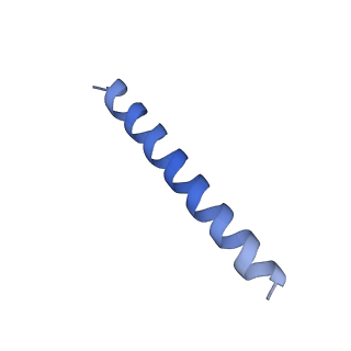 21818_6wl9_LA_v1-1
Cryo-EM of Form 2 like peptide filament, Form2a