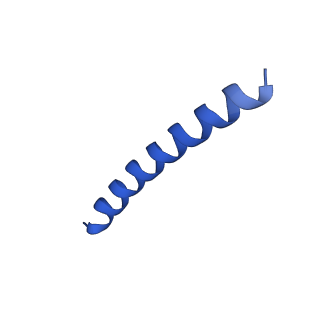 21818_6wl9_L_v1-2
Cryo-EM of Form 2 like peptide filament, Form2a