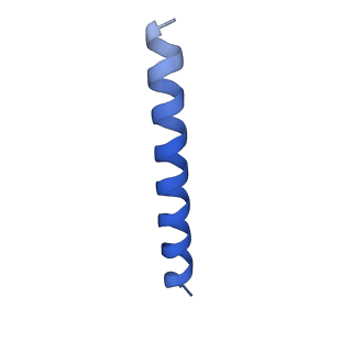 21818_6wl9_MA_v1-1
Cryo-EM of Form 2 like peptide filament, Form2a