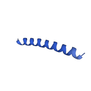 21818_6wl9_M_v1-2
Cryo-EM of Form 2 like peptide filament, Form2a