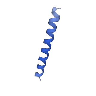 21818_6wl9_NA_v1-1
Cryo-EM of Form 2 like peptide filament, Form2a