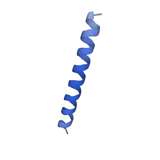 21818_6wl9_NA_v1-2
Cryo-EM of Form 2 like peptide filament, Form2a