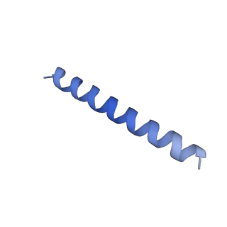21818_6wl9_OA_v1-1
Cryo-EM of Form 2 like peptide filament, Form2a
