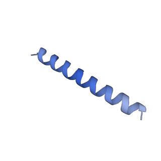 21818_6wl9_OA_v1-2
Cryo-EM of Form 2 like peptide filament, Form2a