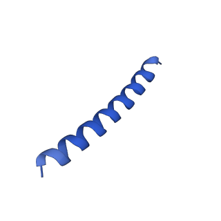 21818_6wl9_O_v1-1
Cryo-EM of Form 2 like peptide filament, Form2a