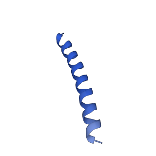 21818_6wl9_P_v1-2
Cryo-EM of Form 2 like peptide filament, Form2a