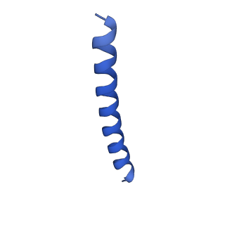 21818_6wl9_Q_v1-2
Cryo-EM of Form 2 like peptide filament, Form2a