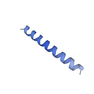 21818_6wl9_RA_v1-1
Cryo-EM of Form 2 like peptide filament, Form2a
