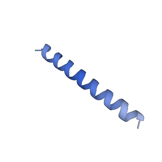 21818_6wl9_RA_v1-2
Cryo-EM of Form 2 like peptide filament, Form2a