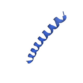 21818_6wl9_R_v1-1
Cryo-EM of Form 2 like peptide filament, Form2a