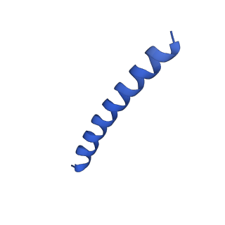 21818_6wl9_R_v1-2
Cryo-EM of Form 2 like peptide filament, Form2a