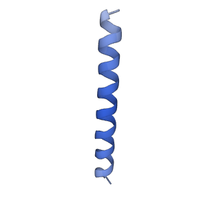 21818_6wl9_TA_v1-1
Cryo-EM of Form 2 like peptide filament, Form2a