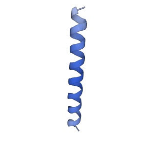 21818_6wl9_TA_v1-2
Cryo-EM of Form 2 like peptide filament, Form2a