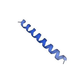 21818_6wl9_UA_v1-1
Cryo-EM of Form 2 like peptide filament, Form2a