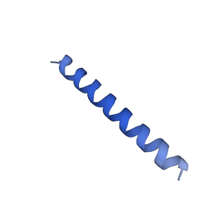 21818_6wl9_UA_v1-2
Cryo-EM of Form 2 like peptide filament, Form2a