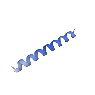 21818_6wl9_VA_v1-1
Cryo-EM of Form 2 like peptide filament, Form2a