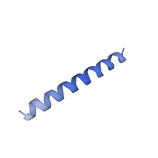 21818_6wl9_VA_v1-2
Cryo-EM of Form 2 like peptide filament, Form2a