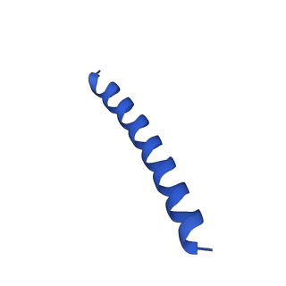 21818_6wl9_V_v1-1
Cryo-EM of Form 2 like peptide filament, Form2a