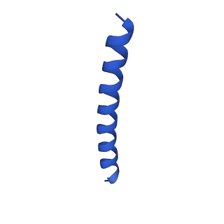 21818_6wl9_W_v1-1
Cryo-EM of Form 2 like peptide filament, Form2a
