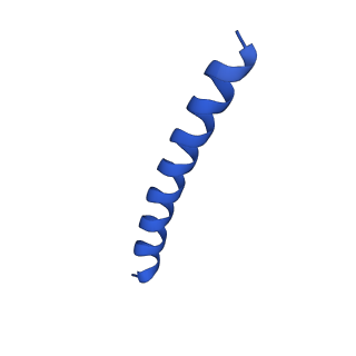 21818_6wl9_X_v1-1
Cryo-EM of Form 2 like peptide filament, Form2a