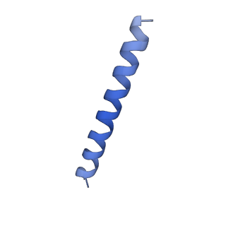 21818_6wl9_YA_v1-2
Cryo-EM of Form 2 like peptide filament, Form2a