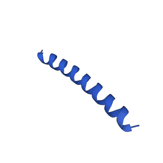 21818_6wl9_Y_v1-1
Cryo-EM of Form 2 like peptide filament, Form2a