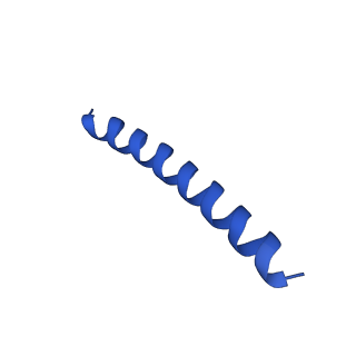 21818_6wl9_Y_v1-2
Cryo-EM of Form 2 like peptide filament, Form2a