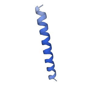 21818_6wl9_ZA_v1-2
Cryo-EM of Form 2 like peptide filament, Form2a