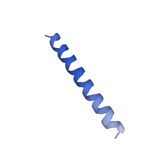 21818_6wl9_aA_v1-2
Cryo-EM of Form 2 like peptide filament, Form2a