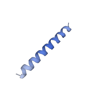 21818_6wl9_bA_v1-1
Cryo-EM of Form 2 like peptide filament, Form2a