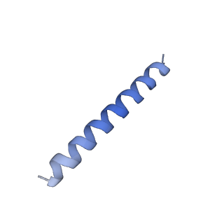 21818_6wl9_bA_v1-2
Cryo-EM of Form 2 like peptide filament, Form2a