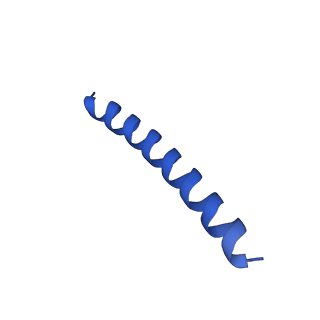 21818_6wl9_b_v1-1
Cryo-EM of Form 2 like peptide filament, Form2a