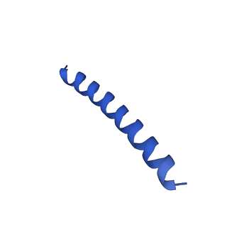 21818_6wl9_b_v1-2
Cryo-EM of Form 2 like peptide filament, Form2a