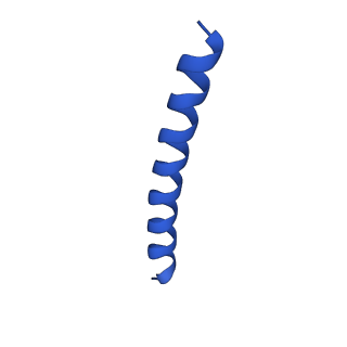 21818_6wl9_d_v1-2
Cryo-EM of Form 2 like peptide filament, Form2a