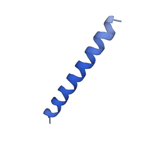 21818_6wl9_eA_v1-1
Cryo-EM of Form 2 like peptide filament, Form2a
