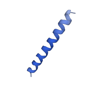 21818_6wl9_eA_v1-2
Cryo-EM of Form 2 like peptide filament, Form2a