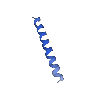 21818_6wl9_gA_v1-2
Cryo-EM of Form 2 like peptide filament, Form2a