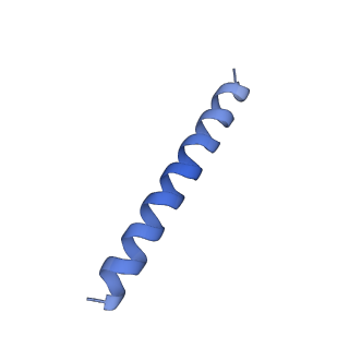 21818_6wl9_hA_v1-1
Cryo-EM of Form 2 like peptide filament, Form2a