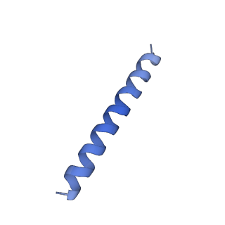 21818_6wl9_hA_v1-2
Cryo-EM of Form 2 like peptide filament, Form2a