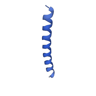 21818_6wl9_j_v1-2
Cryo-EM of Form 2 like peptide filament, Form2a