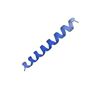 21818_6wl9_kA_v1-1
Cryo-EM of Form 2 like peptide filament, Form2a