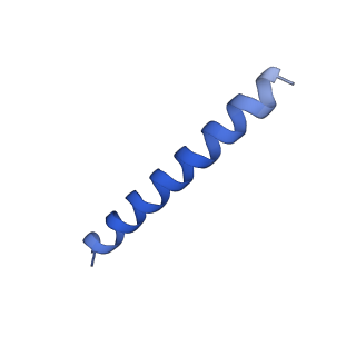 21818_6wl9_kA_v1-2
Cryo-EM of Form 2 like peptide filament, Form2a