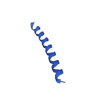 21818_6wl9_k_v1-2
Cryo-EM of Form 2 like peptide filament, Form2a