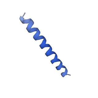 21818_6wl9_lA_v1-2
Cryo-EM of Form 2 like peptide filament, Form2a