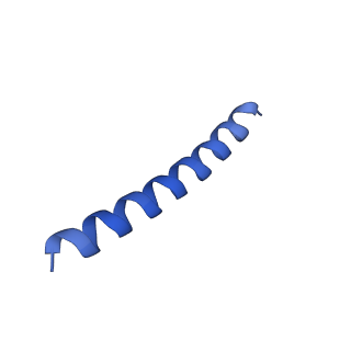 21818_6wl9_l_v1-2
Cryo-EM of Form 2 like peptide filament, Form2a