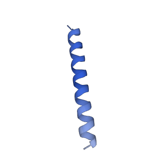 21818_6wl9_mA_v1-1
Cryo-EM of Form 2 like peptide filament, Form2a