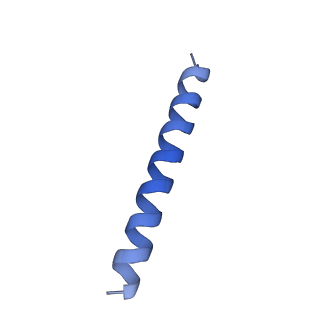 21818_6wl9_nA_v1-1
Cryo-EM of Form 2 like peptide filament, Form2a